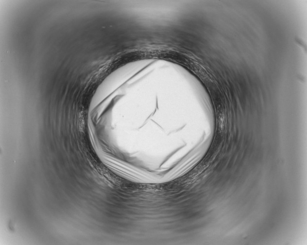 X0000094931204200712201045