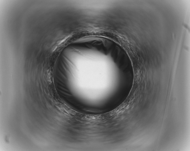 X0000094931205200712201045