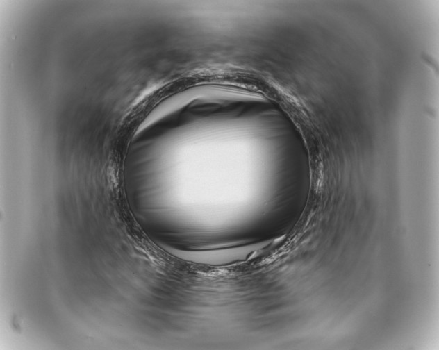X0000094931206200712201045