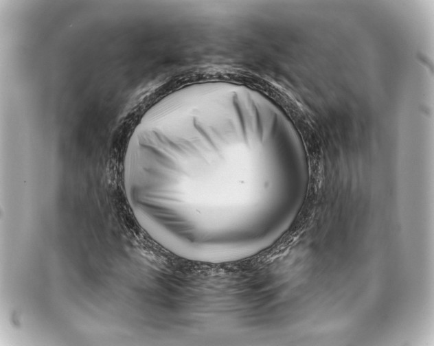 X0000094931207200712201045