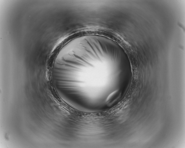 X0000094931208200712201045