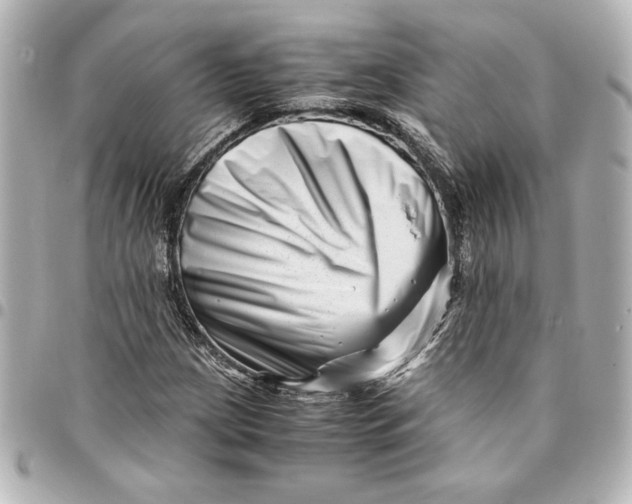 X0000094931209200712201045