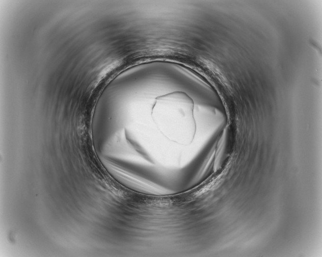 X0000094931210200712201045