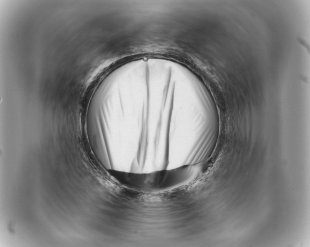 X0000094931214200712201045
