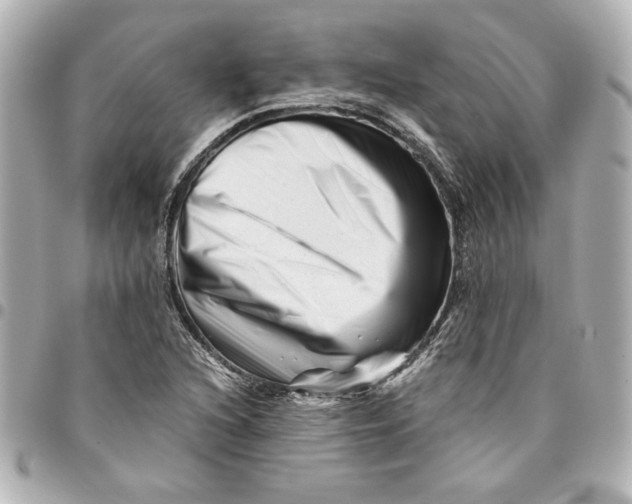 X0000094931216200712201045