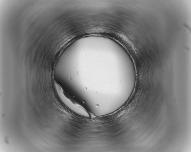 X0000094931217200712201045