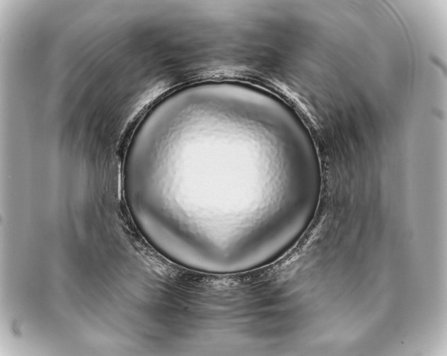X0000094931219200712201045