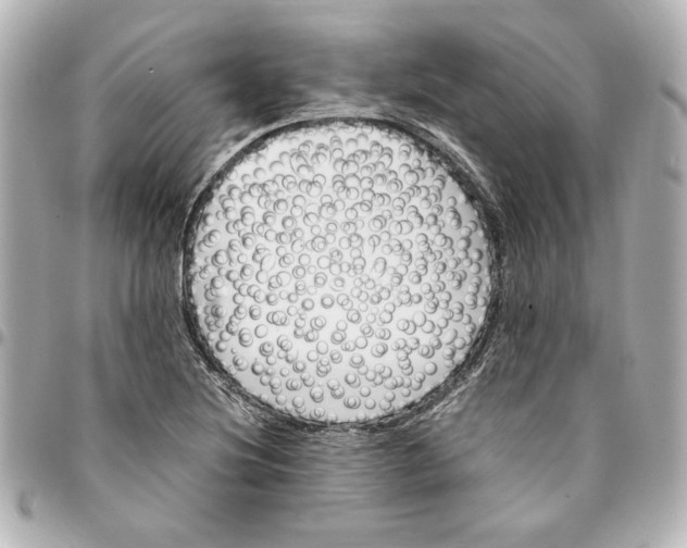 X0000094931220200712201045