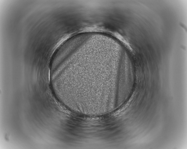 X0000094931221200712201045