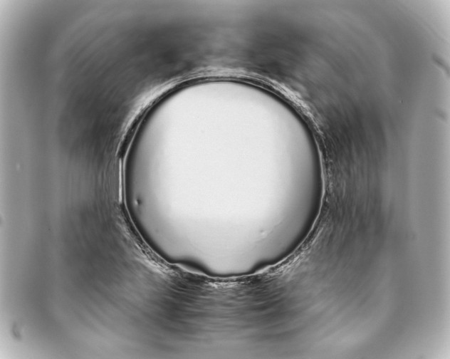 X0000094931223200712201045