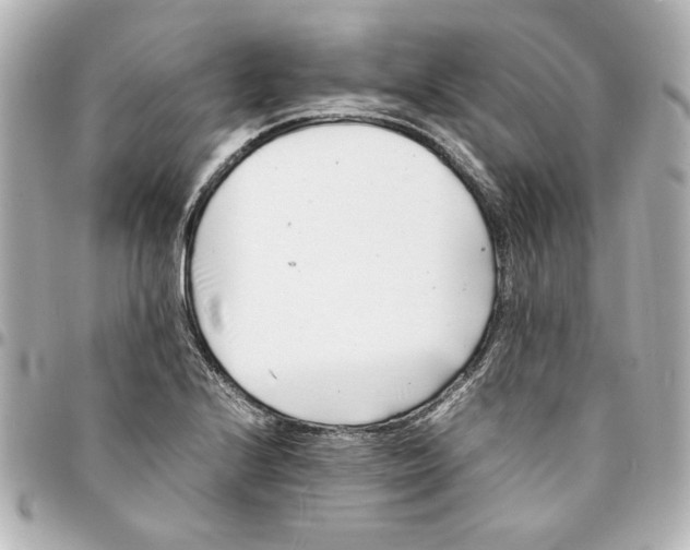 X0000094931224200712201045
