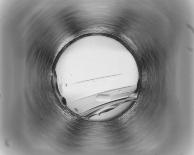 X0000094931226200712201045
