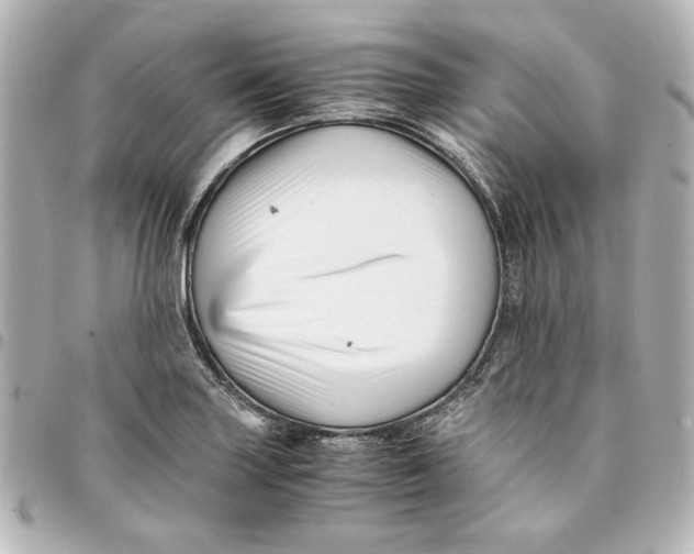 X0000094931227200712201045