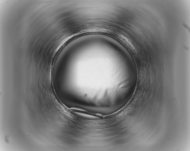 X0000094931228200712201045