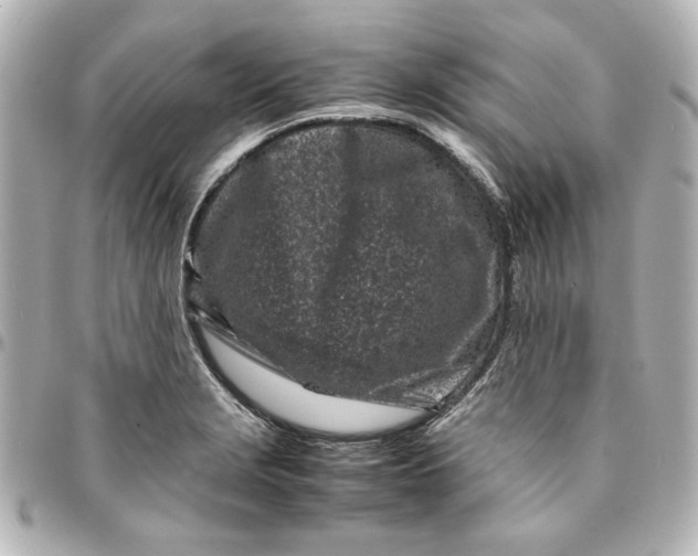 X0000094931229200712201045