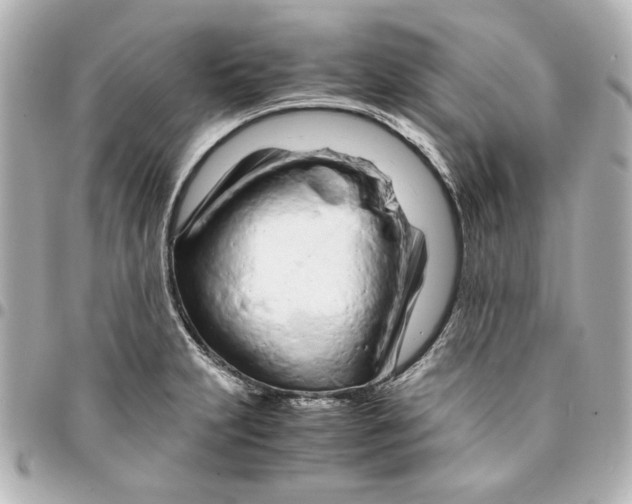 X0000094931231200712201045