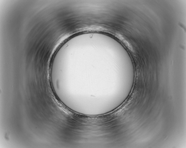 X0000094931232200712201045