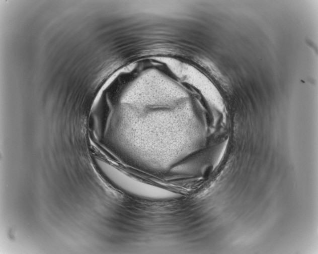 X0000094931233200712201045