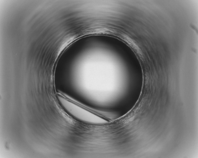 X0000094931234200712201045