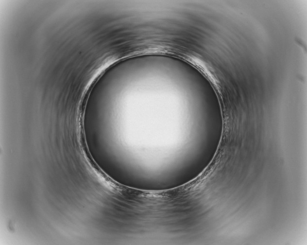X0000094931235200712201045