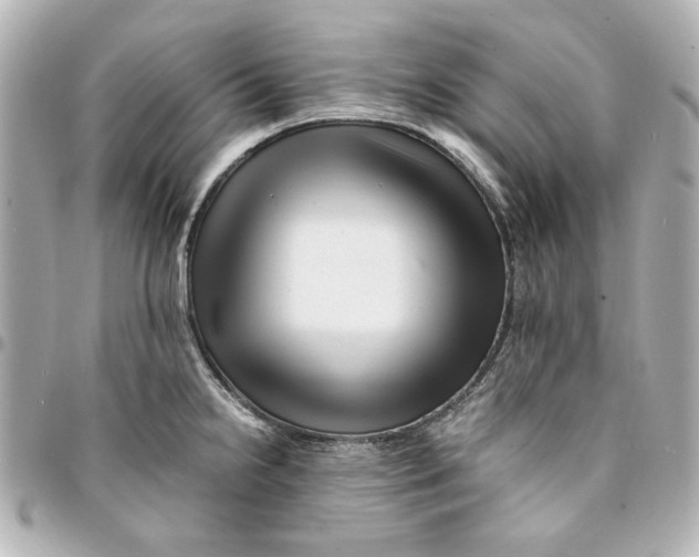 X0000094931238200712201045