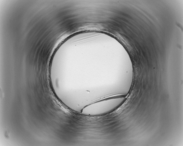 X0000094931240200712201045