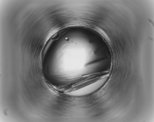X0000094931242200712201045