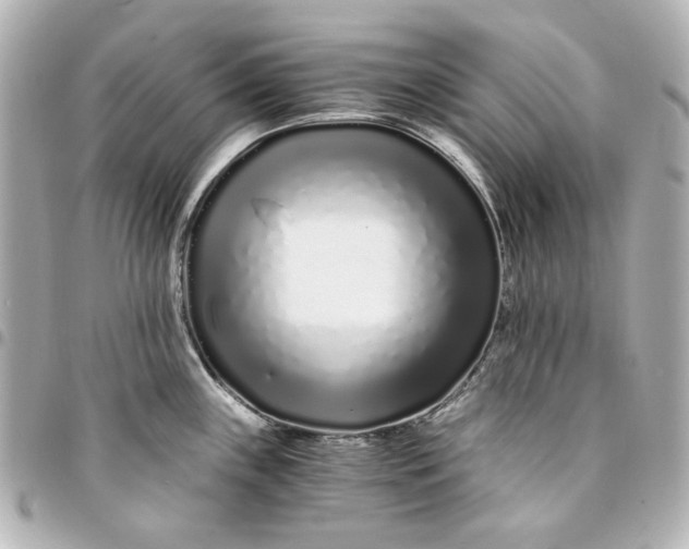 X0000094931243200712201045