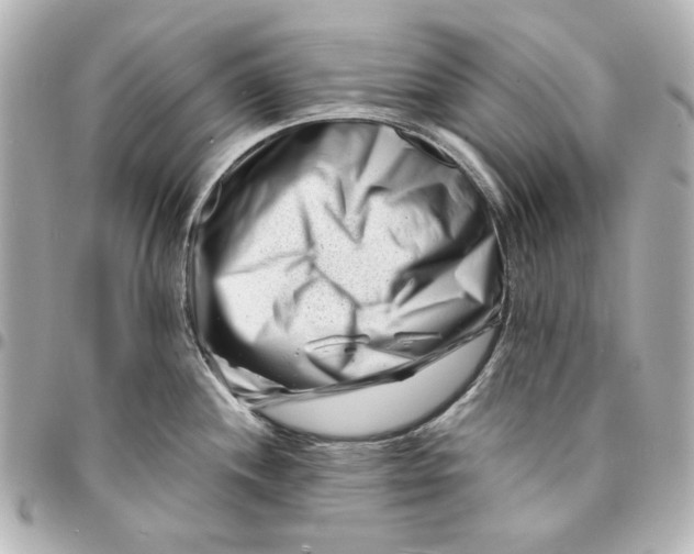 X0000094931244200712201045