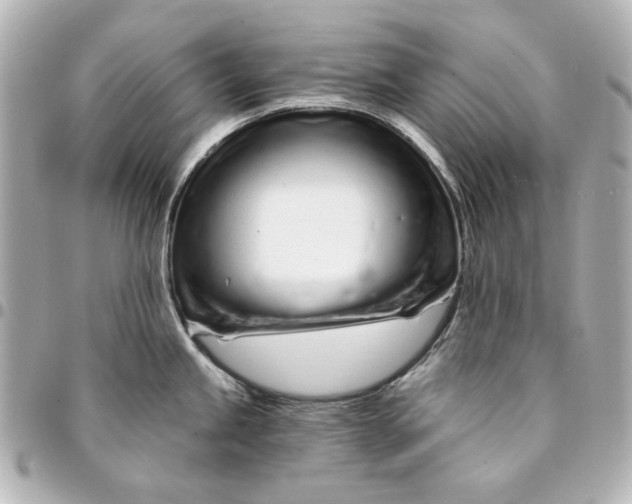 X0000094931245200712201045