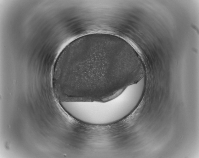 X0000094931246200712201045