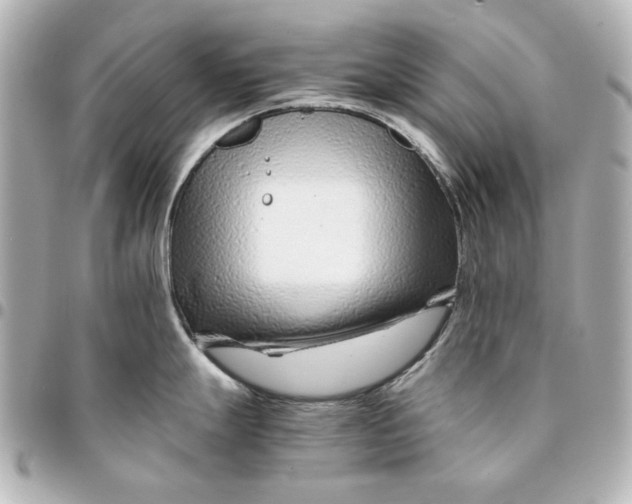 X0000094931247200712201045