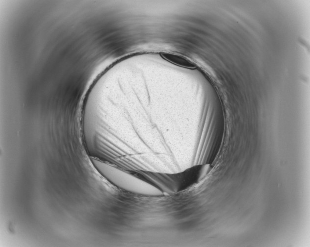X0000094931248200712201045