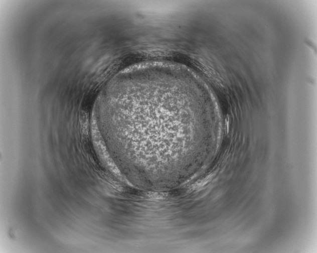 X0000094931251200712201045