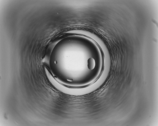 X0000094931252200712201045