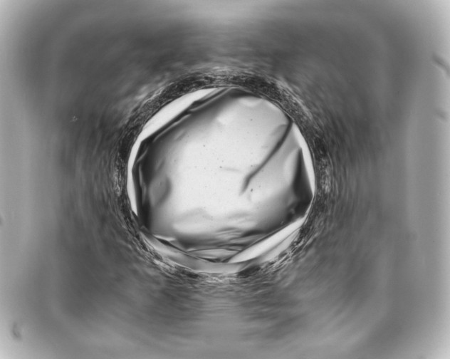 X0000094931253200712201045