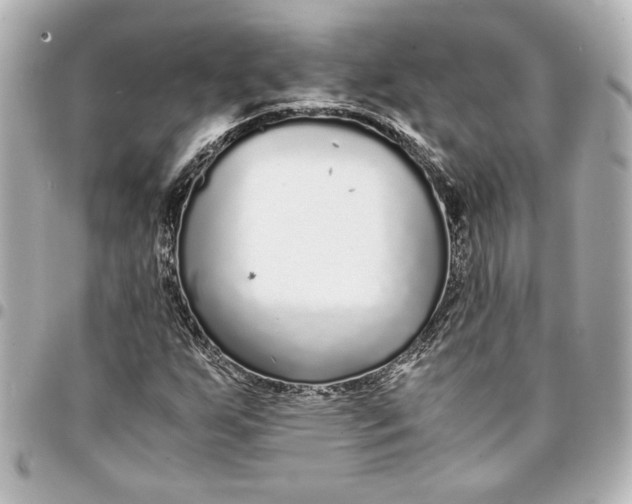 X0000094931255200712201045