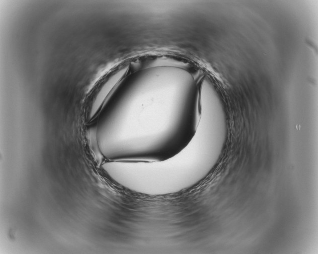 X0000094931256200712201045