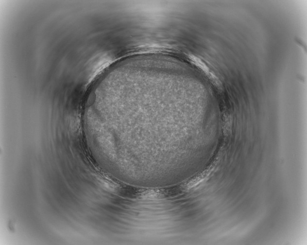 X0000094931259200712201044