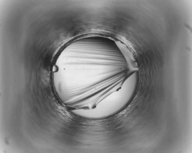 X0000094931260200712201044
