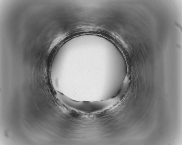X0000094931261200712201044