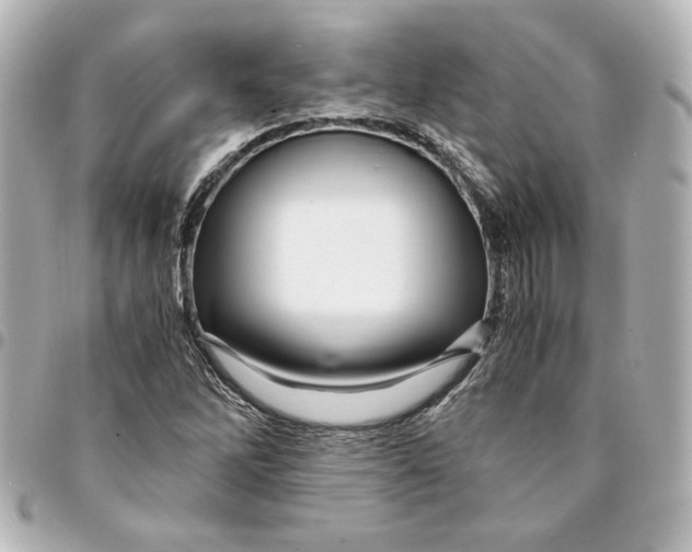X0000094931262200712201044