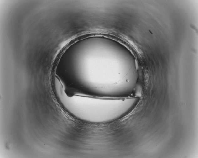 X0000094931264200712201044