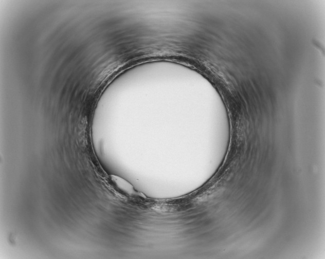 X0000094931265200712201044