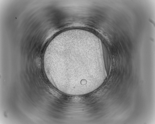 X0000094931266200712201044