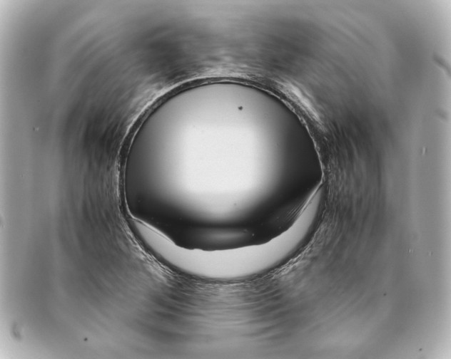 X0000094931268200712201044