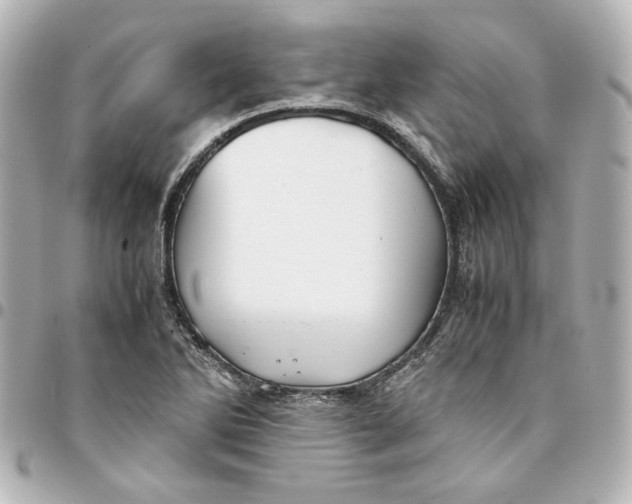 X0000094931270200712201044