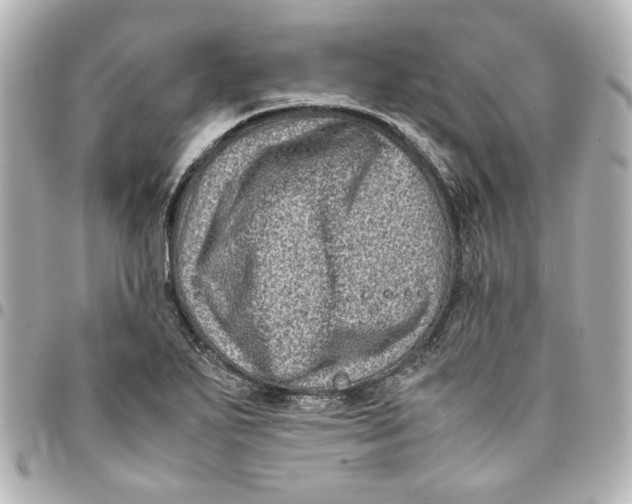 X0000094931271200712201044