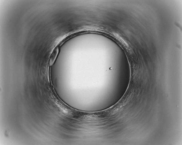 X0000094931272200712201044