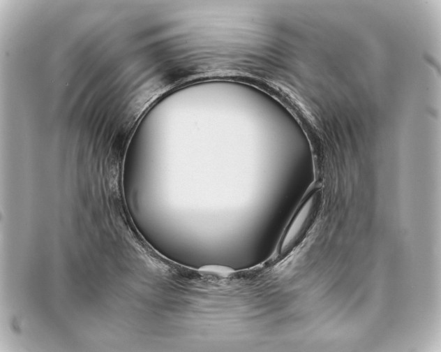 X0000094931273200712201044